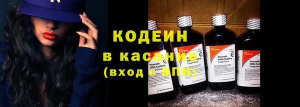 шишки Вяземский