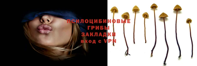 MDMA Вязники