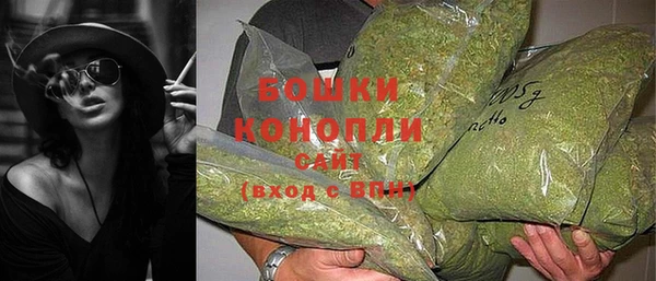 шишки Вяземский